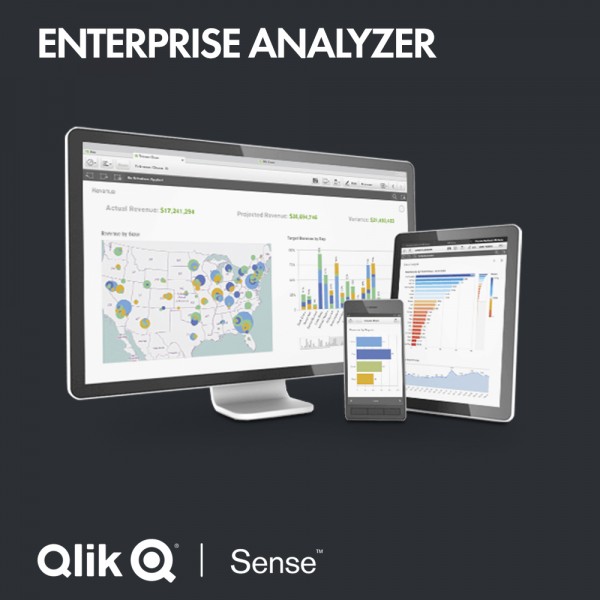 Qlik Sense Enterprise &quot;Analyzer&quot; - yearly subscription