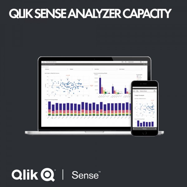 Qlik Sense Analyzer Capacity - yearly subscription