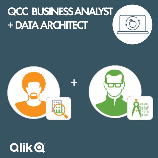 Qlik Continuous Classroom (QCC) - Business Analyst and Data Architect annual subscription